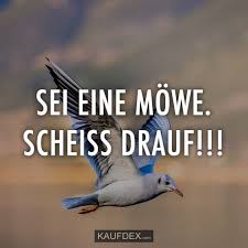Pin Auf Lustige Zitate