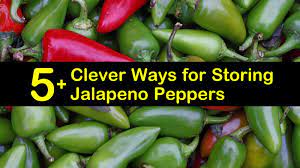However, you may want to fertilize a plant if the fruits are undersized. 5 Clever Ways For Storing Jalapeno Peppers