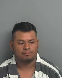 Mugshots: 61 arrested