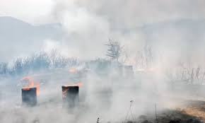 Jun 18, 2021 · συναγερμός έχει σημάνει στην πυροσβεστική από φωτιά που έχει ξεσπάσει σε βυτιοφόρο που μεταφέρει καύσιμα στον ασπρόπυργο. Fwtia Twra Ston Aspropyrgo Newsbomb Eidhseis News