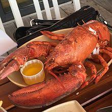 We did not find results for: Lobster Wikipedia