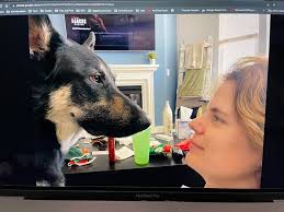 Thomas Moralez Photography