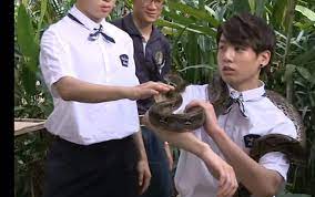Advertisement snakes have a long, flexible body that is covered with dry scales. How Did Bts Members React After Touching A Snake Repost Army S Amino