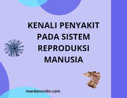 Download file lihat selengkapnya situasi penyakit hepatitis b di indonesia tahun 2017 kategori data : Kenali Penyakit Pada Sistem Reproduksi Manusia Mardanurdin Com