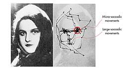 Image result for Visual Fixation