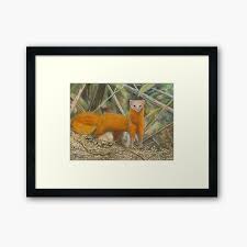 Examples of translating «fox» in context Malay Wall Art Redbubble