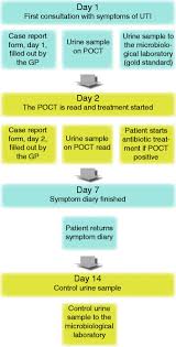 Flow Chart For Data Collection Poct Point Of Care Test