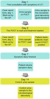 flow chart for data collection poct point of care test