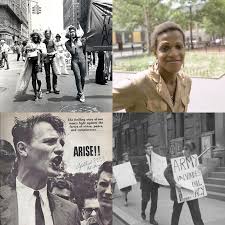 I think that if we're going to leave in the bit that says pinm is about gender, we need a better source. Marsha P Johnson Randy Wicker Making Gay History