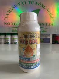 Vigibb 1SL