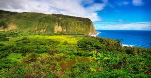 Beginning july 8, travelers entering hawaii from other states in the u.s. Hawaii Waives Quarantine For Travellers With Negative Covid 19 Result From August 1 Travel News Manorama English