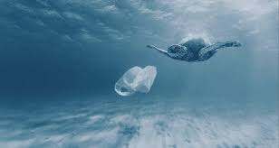 Water Pollution Effects On Environment Hygienic Things Water Pollution Facts Water Pollution Pollution