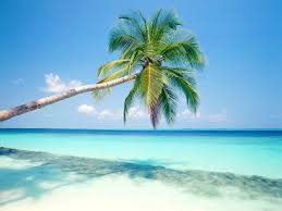 Descargas ilimitadas de tropical island fotos con una suscripción a envato elements. Tropical Island Desktop Wallpapers Wallpaper Cave