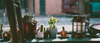 Sep 28, 2019 · first, soak the screen and frames using the garden hose and then gently scrub it with warm water mixed with dish soap. How To Clean Your Patio Screen Enclosures Screen Kings Of Sw Florida Llc