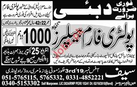 As an average, the consumption of chicken meat is averaged at 45 kg and chicken eggs 370 eggs per capita (person) annually. Poultry Farm Helpers Jobs 2018 In Dubai Uae 2018 2021 Job Advertisement Pakistan