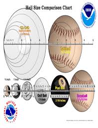 Fillable Online Weather Beaufort Wind Scale Estimated Wind