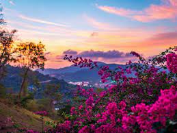 Pin By Anisha Islam On Spring Spring Wallpaper Spring Desktop Wallpaper Spring Wallpaper Hd