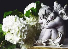 Join her as she shows you just how southern fried the justice system can be in the deep south. Flowers By Coley Las Vegas Flowersbycoleylsv Profile Pinterest
