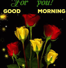 Beautiful flowers flower background flowers flower hd wallpaper nature. Good Morning Sister Quotes Good Morning Gif Best World Events