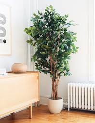 Faux Weeping Ficus Tree 12 Grant The Sill Ficus Ficus Tree Faux Plants