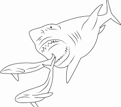 So, if you were looking for free megalodon shark coloring sheets, you are in the right place. Scary Shark Coloring Pages Best Of Megalodon Coloring Pictures Redhatsheet Sharks Scary Animal Coloring Books Animal Coloring Pages