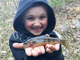 Is Coopers Creek kid accessible? Specifically with a very agile 3.5 year  old?