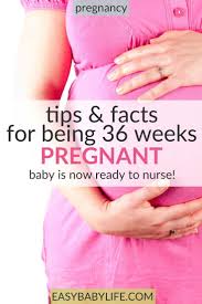Pin On Surviving Pregnancy