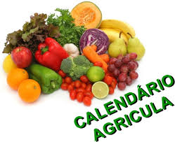 Resultado de imagem para CALENDÃRIO AGRÃCOLA
