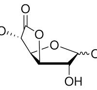 D-(+)-Glucuronic acid γ-lactone