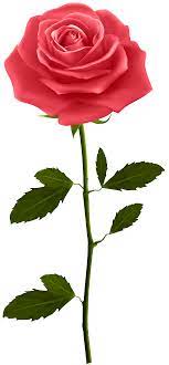 Red Rose With Stem Png Clip Art Gallery Yopriceville High Quality Images And Transparent Png Fr Blue Rose Tattoos Pink Rose Tattoos Beautiful Rose Flowers