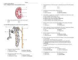We did not find results for: File Mr Schmitt Biology 12