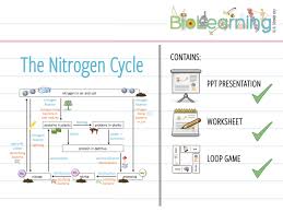 Nitrogen cycle definition nitrogen cycle is a biogeochemical process which transforms the inert nitrogen present in the atmosphere to a more usable form for living organisms. furthermore, nitrogen is a key nutrient element for plants. The Nitrogen Cycle Worksheet Promotiontablecovers