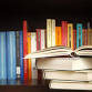 Book Club | "I Survived" Book Club event image