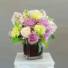 As the only city named after flowers in china, panzhihua has an altitude, temperature and humidity that are especially suitable for human recuperation. Sunshine Your Day In Culver City Ca Raintree Flowers