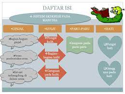 Xi / 2 alokasi waktu : Sistem Ekskresi Pada Manusia Ppt Download