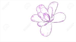 Check spelling or type a new query. Cartoon Drawn Blooming Flower 3d Illustration Isolated On Background New Quality Beautiful Holiday Natural Floral Cool Nice 4k Stock Image Stock Photo Picture And Royalty Free Image Image 122504603