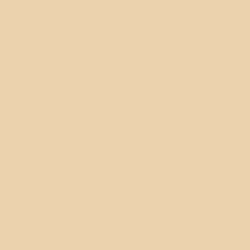 2165 50 Natural Sand Paint Color