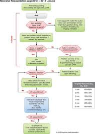 part 13 neonatal resuscitation circulation