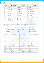 Algebra 2 worksheet, practice algebra expression algebra questions and answers, determine variable y. Ncert Solutions Class 7 Maths Chapter 12 Algebraic Expressions Access Free Pdf