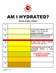 hydration color chart medical energy works health tips