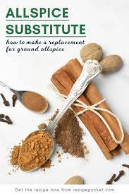 Easy Allspice Recipe Recipes Recipe For Allspice Food