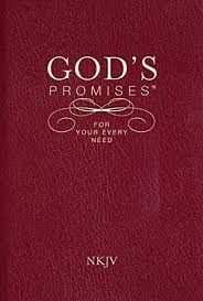 Download Pdf Gods Promises For Your Every Need Nkjv Free Epub Mobi Ebooks