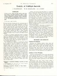 Image result for Callilepis laureola