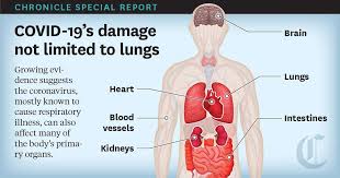 There is a printable worksheet available for download here so you can take the quiz with pen and paper. How Covid 19 Can Affect Most Major Organs Not Just The Lungs