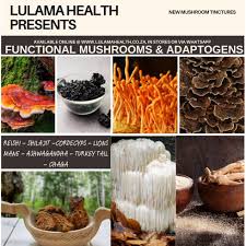 Image result for Salacia leptoclada