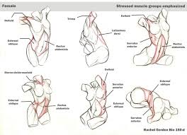 Leg anatomy anatomy poses anatomy study anatomy art leg reference anatomy reference drawing reference arte com grey's anatomy anatomical diagram of the muscles of the neck. Dynamic Torsos Female By Arsonanthemkj On Deviantart Female Anatomy Reference Human Anatomy Drawing Anatomy Drawing
