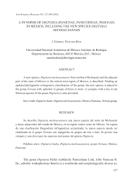 Image result for Digitaria pseudodiagonalis