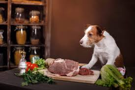 Maybe you would like to learn more about one of these? Can Dogs Eat Pork Pros Cons 3 Best Recipes Included