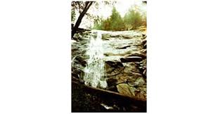 Earl Cooke Obituary (1951