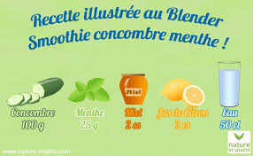 Blender Professionnel Lacor Blender Mixeur Appareil A Smoothies Chez Nature Et Vitalite Recette Jus De Fruit Jus De Fruit Maison Recette Illustree